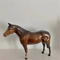 thoroughbred for sale