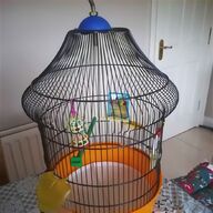 bird show cages for sale