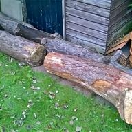 tree trunk slice for sale