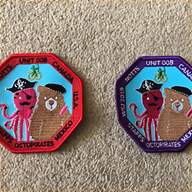 scout patrol badge for sale