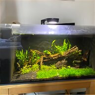 breeding tank for sale