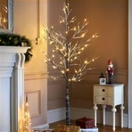 white twig tree for sale