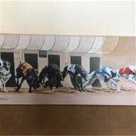 greyhound racing for sale