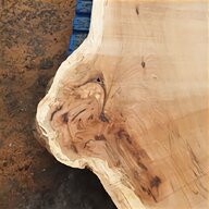 spalted beech for sale