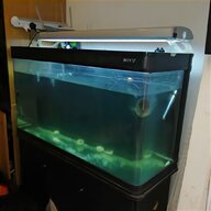 7 ft fish tank for sale