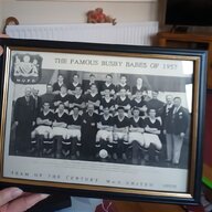 busby babes for sale