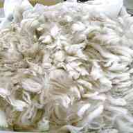 raw alpaca fleece for sale
