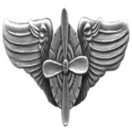 flight badge for sale