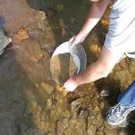 gold panning for sale