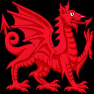 welsh dragon for sale
