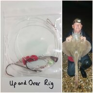 fly tying for sale
