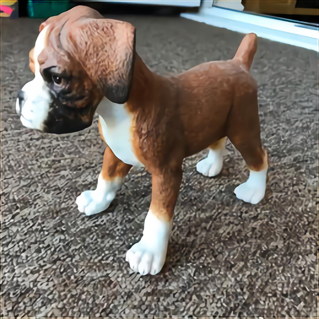 Boxer Puppies for sale in UK 44 used Boxer Puppies