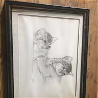 pencil sketches for sale