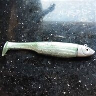 minnow fish carb for sale