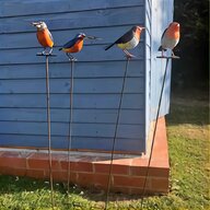 pheasant feeders for sale