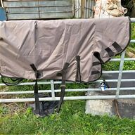 rhinegold turnout rug for sale