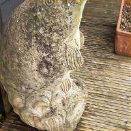 ornamental fish for sale