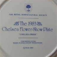 show plates for sale