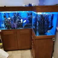 large corner aquarium for sale