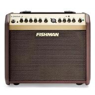fishman acoustic amp for sale