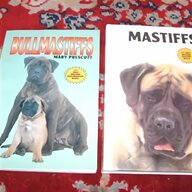 mastiff breeds for sale