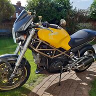 ducati belly for sale