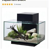 fluval edge aquarium for sale