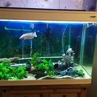 rena aquarium for sale