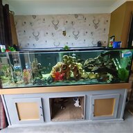 5ft tank for sale
