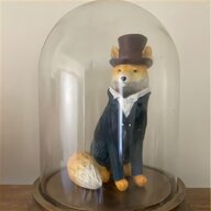 taxidermy fox for sale