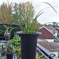 plant pot base for sale