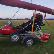 rotax kart for sale