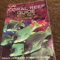 coral reef for sale