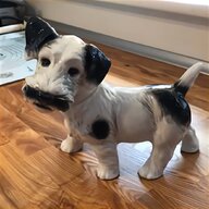 terrier puppies for sale