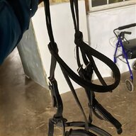 bling bridle for sale