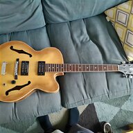 hollow body guitar for sale