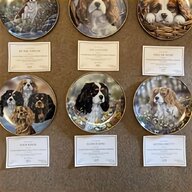 cavalier king charles plates for sale