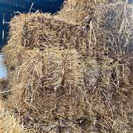 oat straw for sale