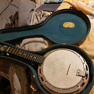 bowl back mandolin for sale