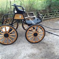 shetland cart for sale