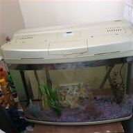 clearseal aquarium tanks for sale