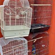 large parrot cages for sale
