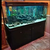 5ft tank for sale