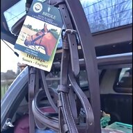 shetland pony bridles for sale