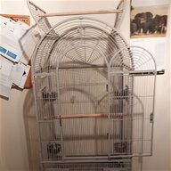 african grey cages for sale