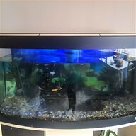 rena aquarium for sale