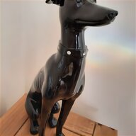 greyhound for sale