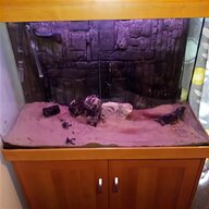 aqua oak aquarium for sale