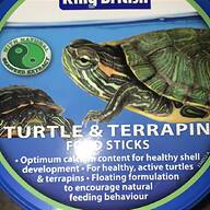 terrapin for sale