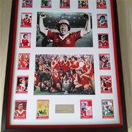 nottingham forest european cup for sale